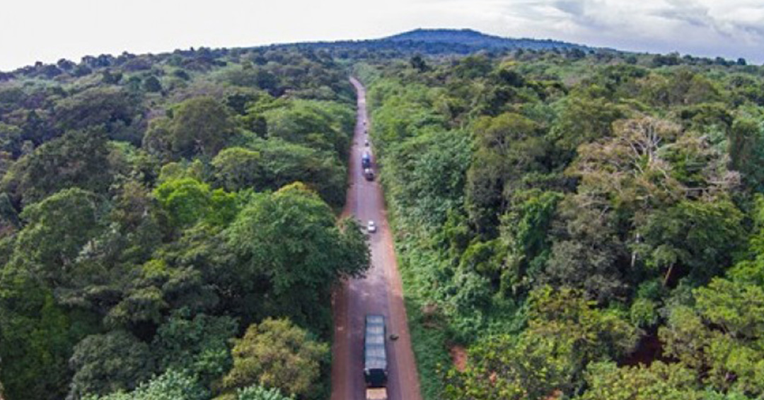 national-tree-planting-day-2021-the-status-of-forests-in-uganda