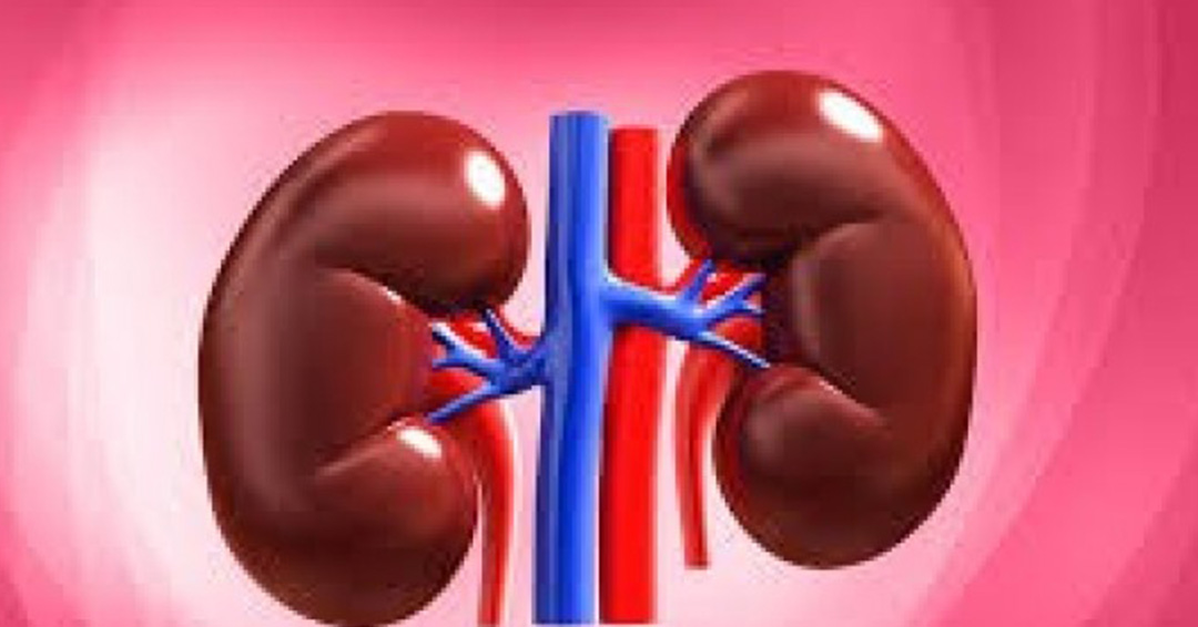 world-kidney-day-7-important-facts-about-your-kidneys