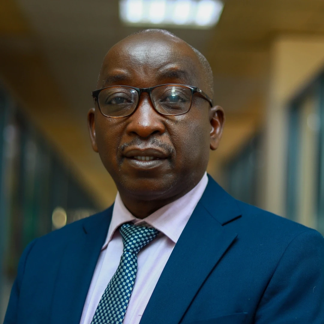 Image Description